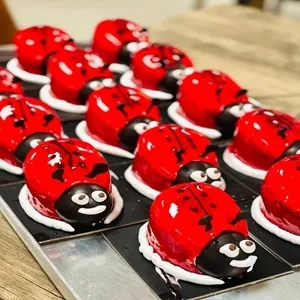 Frambuazlı Uğur Böceği